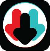 TikTok 
Video Download Icon